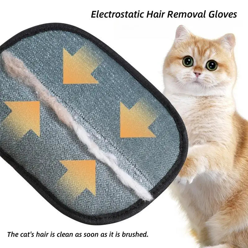 Un chat orange duveteux est à côté d'un gant électrostatique gris pour retirer les poils d'animaux.