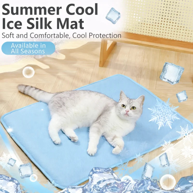 Eine graue Katze liegt auf einer blauen Seidmatte zum Kühlschutz in einem hellen Raum.