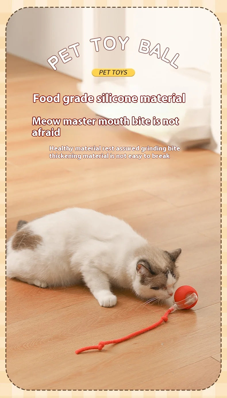 A white cat is interacting with an orange silicone ball toy on a wooden floor.