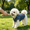 A fluffy white dog wearing a denim pet jacket is being played with by a person in a grassy park.