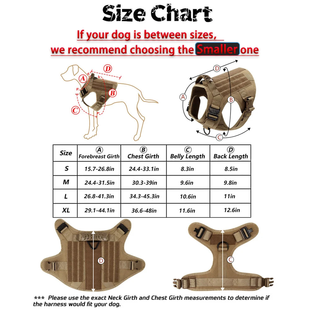 Size chart and diagram showing measurements for dog harnesses and leashes.