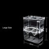 A clear acrylic fish breeding isolation box shown with dimensions of 13cm, 10cm, and 7cm.