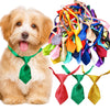 A dog wearing a green bow tie next to a colorful assortment of adjustable pet bow ties for dogs and cats.