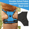 A brown dog wearing a blue padded mesh harness for traction and comfort.