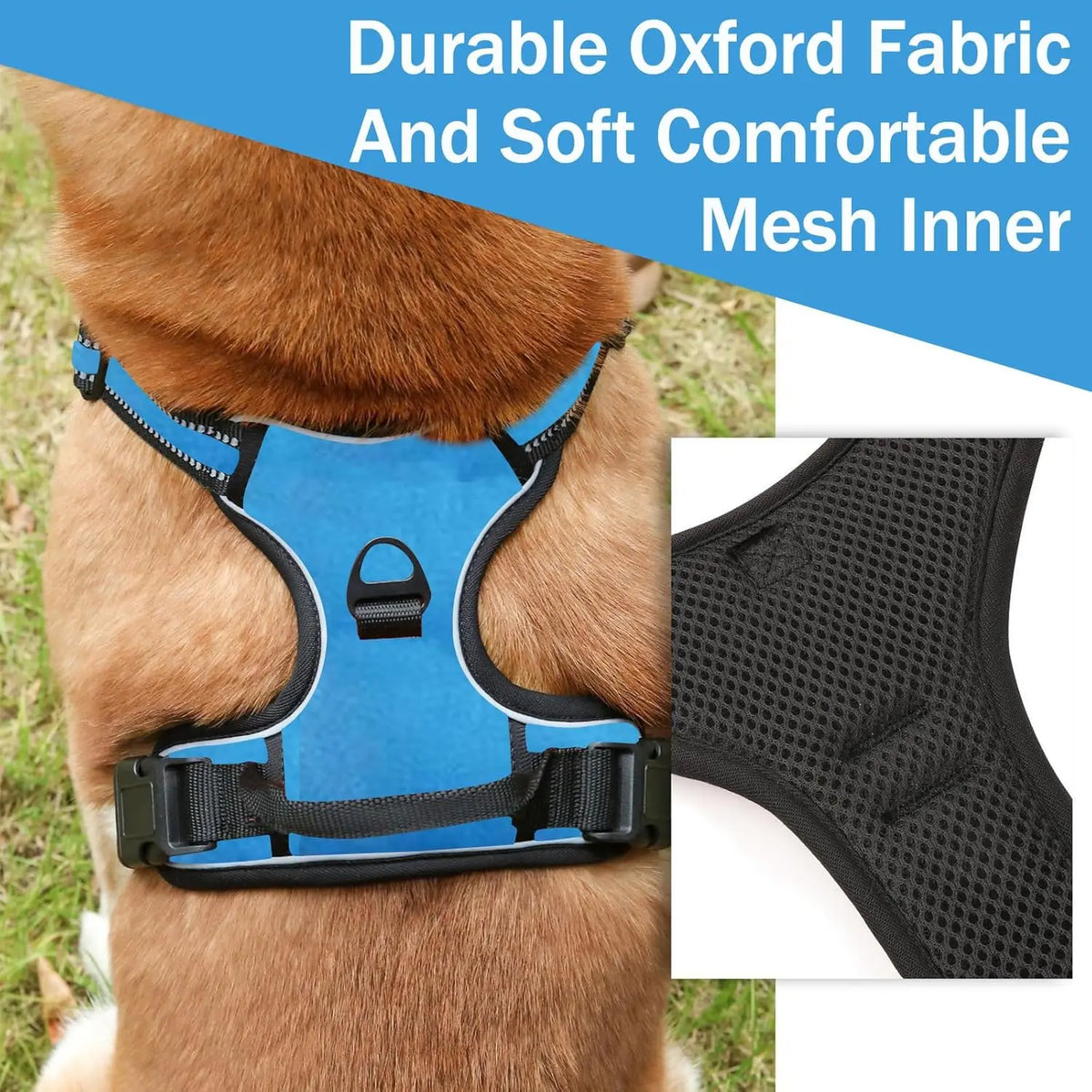 A brown dog wearing a blue padded mesh harness for traction and comfort.