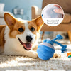 Ein Hund spielt mit einem blauen interaktiven Rollspielzeug, das zwischen drei Lichtmodi wechselt.