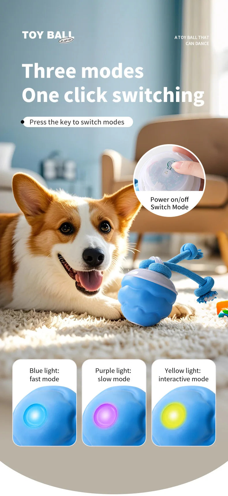 Ein Hund spielt mit einem blauen interaktiven Rollspielzeug, das zwischen drei Lichtmodi wechselt.