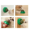 A cat is interacting with a green wall scratching stick toy, showing its texture and use.