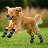 A golden retriever dog wearing anti-slip knitted socks while running across green grass.