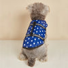 Un petit chien duveteux portant un gilet de sauvetage bleu à pois blancs et rayures réfléchissantes.