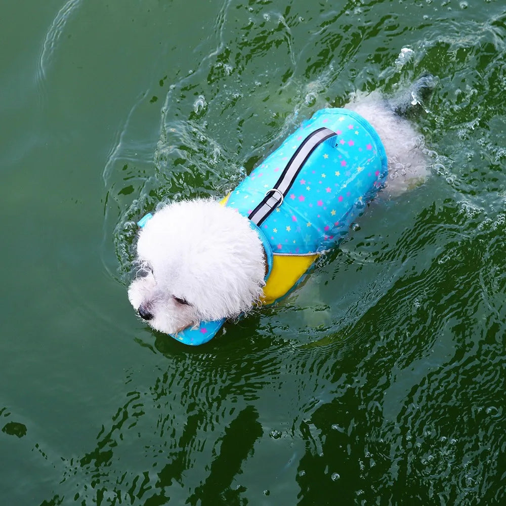 A white dog is wearing a blue and yellow summer life vest while swimming in green water.