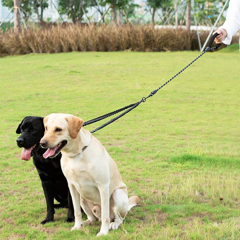 Two dogs on a leash being held by a person in a grassy outdoor setting.