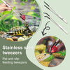 Stainless steel tweezers used for pet feeding, featuring rubber tips, shown next to a tortoise.