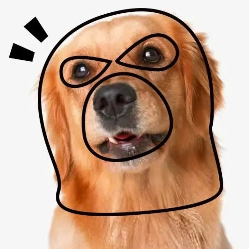 A golden retriever dog's head with an eye mask accessory drawn around its eyes and nose.