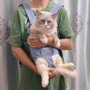 A person is holding a fluffy gray and white cat in a blue pet carrier against a light background.