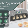 Incubateur à œufs blanc automatique avec plusieurs œufs et poussins exposés sur une surface blanche.