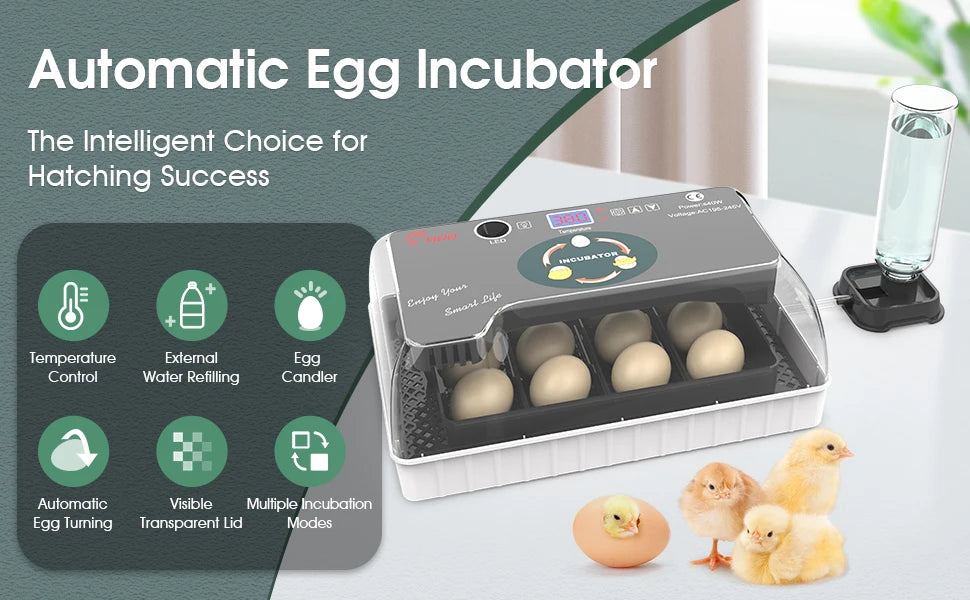 Incubateur à œufs blanc automatique avec plusieurs œufs et poussins exposés sur une surface blanche.