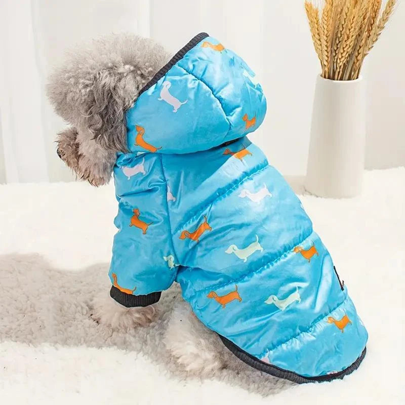Abrigo acolchado térmico azul con capucha para perros o gatos, tumbado sobre una superficie blanca junto a trigo seco.