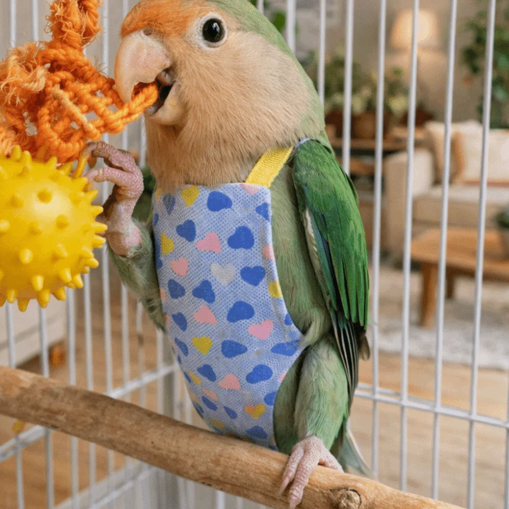 A green parrot wearing a blue patterned flight suit and holding an orange toy inside a wire cage.