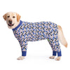 A golden Labrador wearing a blue and white geometric print jumpsuit.