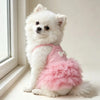 A fluffy white dog wearing a pink suspender tutu dress sitting next to a window.