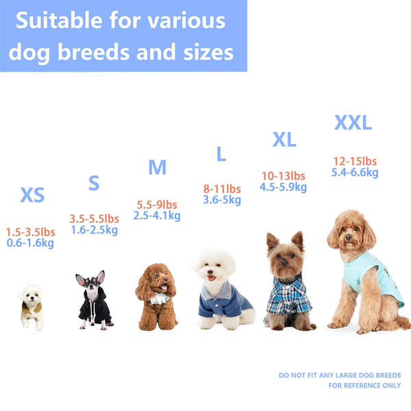 دليل يوضح مقاسات من XS إلى XXL لسلالات الكلاب، بما في ذلك أمثلة للكلاب الصغيرة.