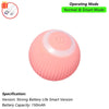 A pink, spherical interactive automatic rolling cat toy with a switch for operating mode.