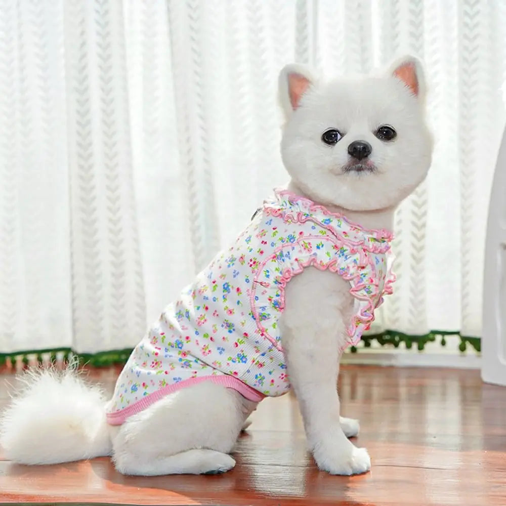A white dog wearing a floral princess pet dress with pink trim, sitting on a wooden floor.