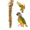 Stainless steel parrot forager feeder with a spiral basket filled with seeds