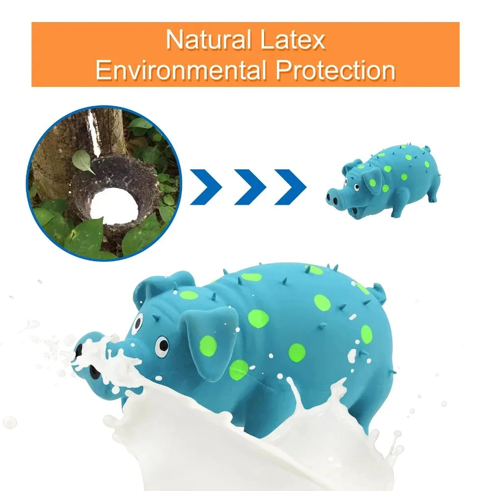 A blue latex pig toy is shown floating in water, with a cross-section of the pig visible nearby.