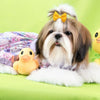 A Shih Tzu dog wearing a yellow bow, lying next to a yellow chick toy.