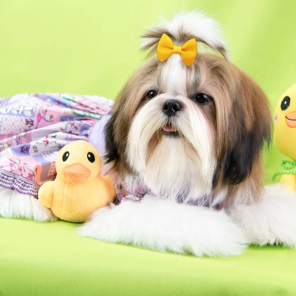 A Shih Tzu dog wearing a yellow bow, lying next to a yellow chick toy.