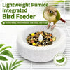 A light-colored pumice feeder bowl filled with seeds and nuts, next to a small bird.