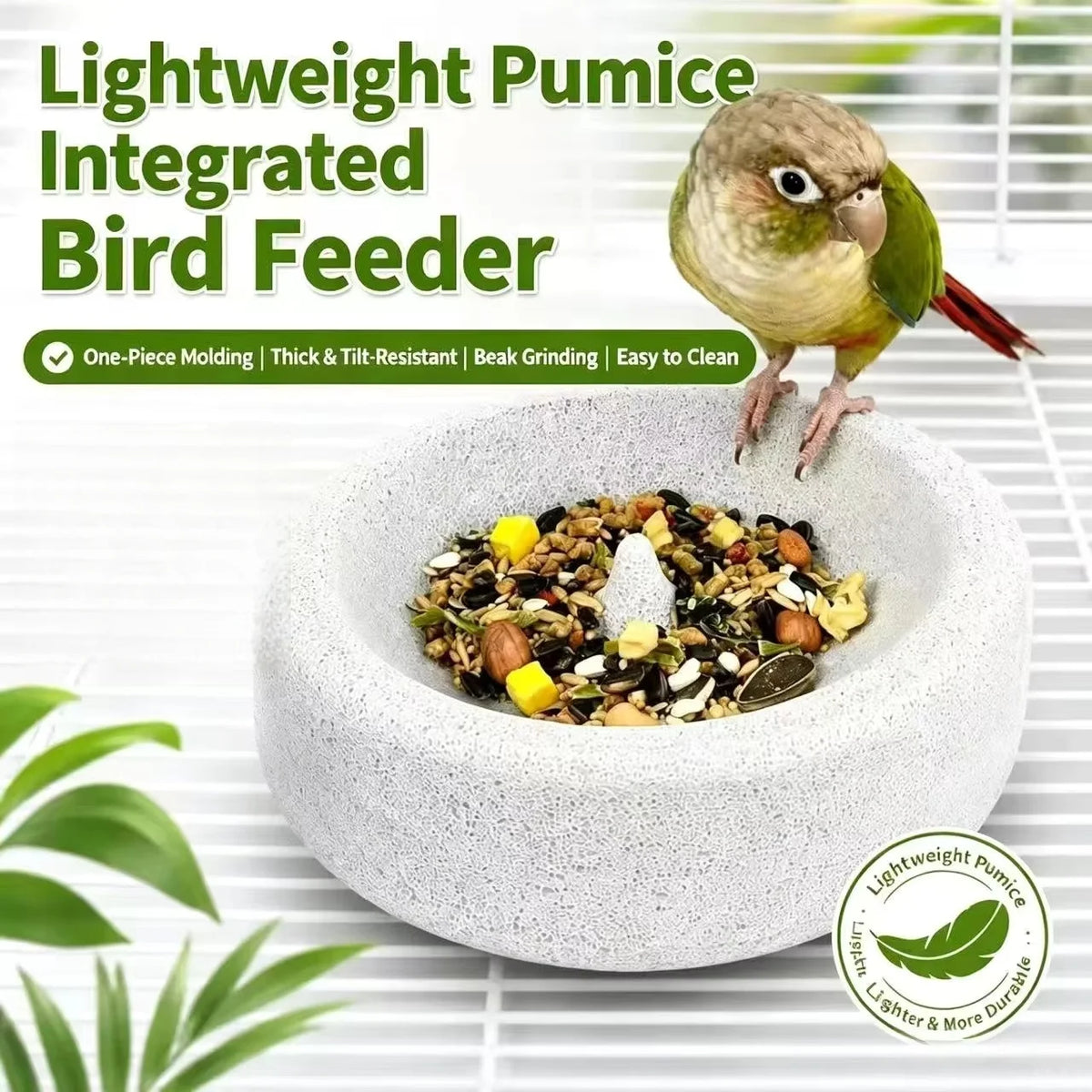 A light-colored pumice feeder bowl filled with seeds and nuts, next to a small bird.