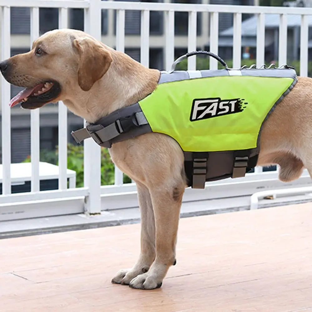 Un perro marrón claro vistiendo un chaleco salvavidas de color verde lima brillante con correas negras.