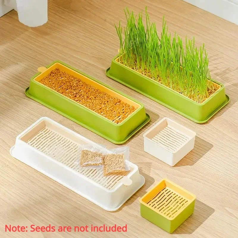 A set of layered growing trays containing seeds for feline plants, including rectangular and square containers.