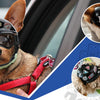 A brown dog wearing a black pet safety helmet and goggles, looking directly at the camera.
