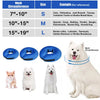 A white fluffy dog wearing a blue inflatable neck collar, shown next to various sized collars and small dogs.