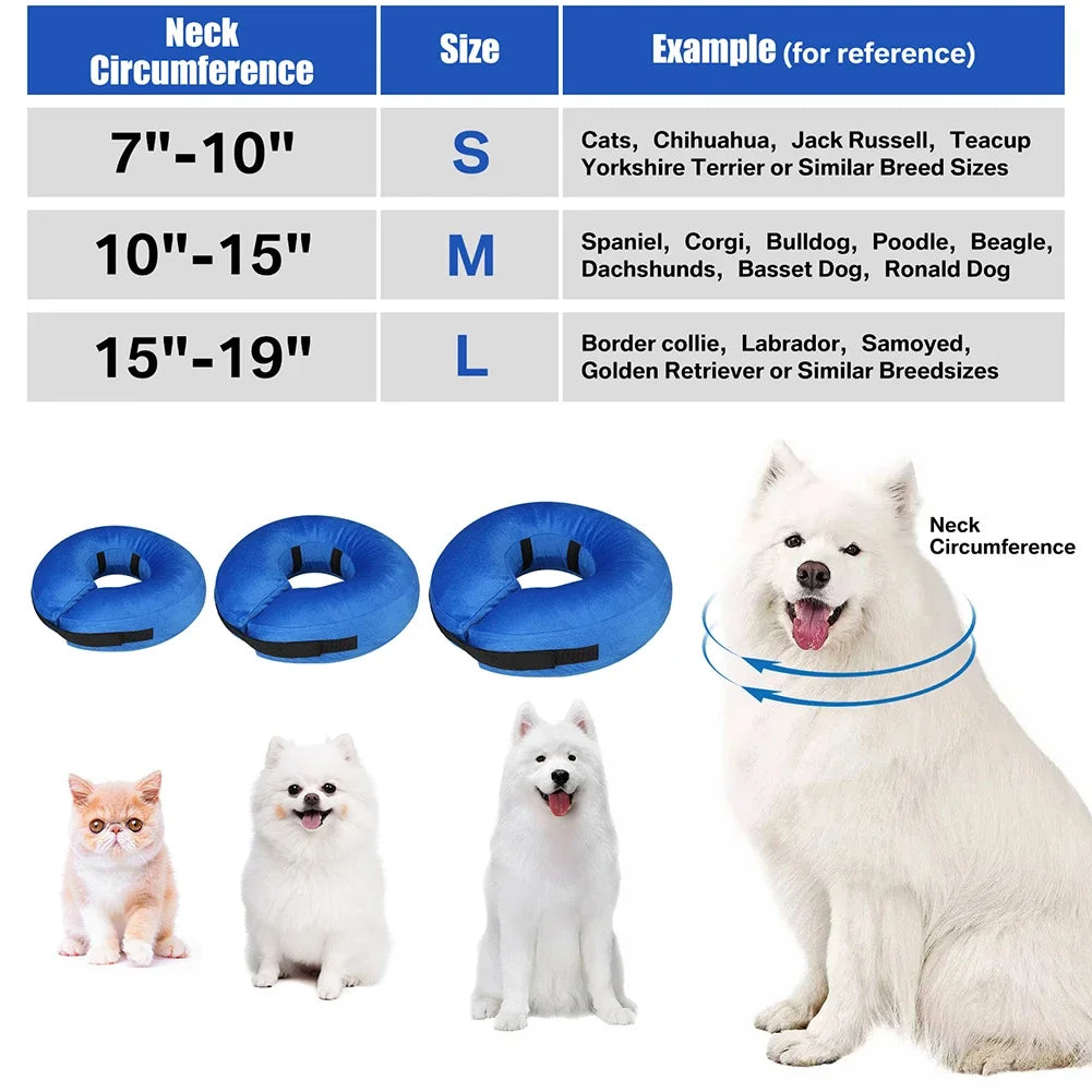 A white fluffy dog wearing a blue inflatable neck collar, shown next to various sized collars and small dogs.