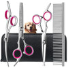 A set of premium titanium dog grooming scissors displayed on a black case with a golden retriever in the background.