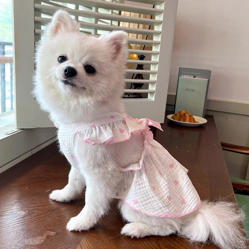 A fluffy white dog wearing a lightweight cotton dress with a pink heart print, sitting on a wooden surface.