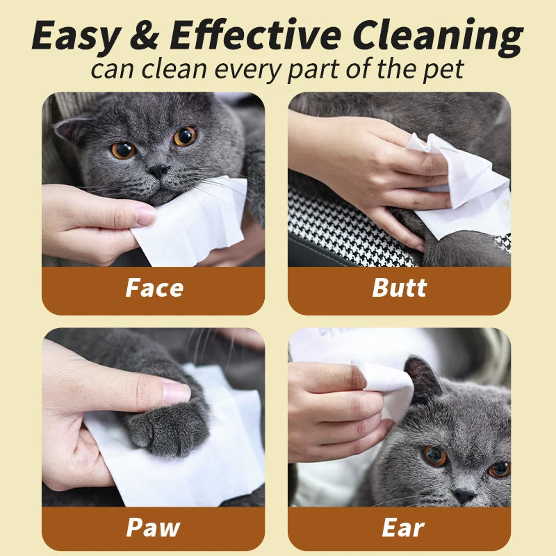 Hands are cleaning various parts of a cat including its face, butt, paw, and ear with white wipes.