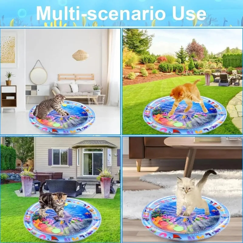 A cat is playing on a colorful, multi-scenario pet water sensory mat in various outdoor and indoor settings.