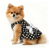 A fluffy, light brown Pomeranian dog wearing a black polka dot dress.
