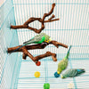 A natural wood grape branch perch for cockatiels is shown inside a wire cage with various colorful natural food items.