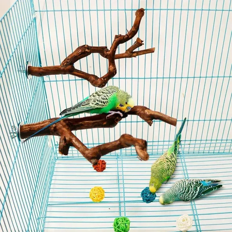 A natural wood grape branch perch for cockatiels is shown inside a wire cage with various colorful natural food items.