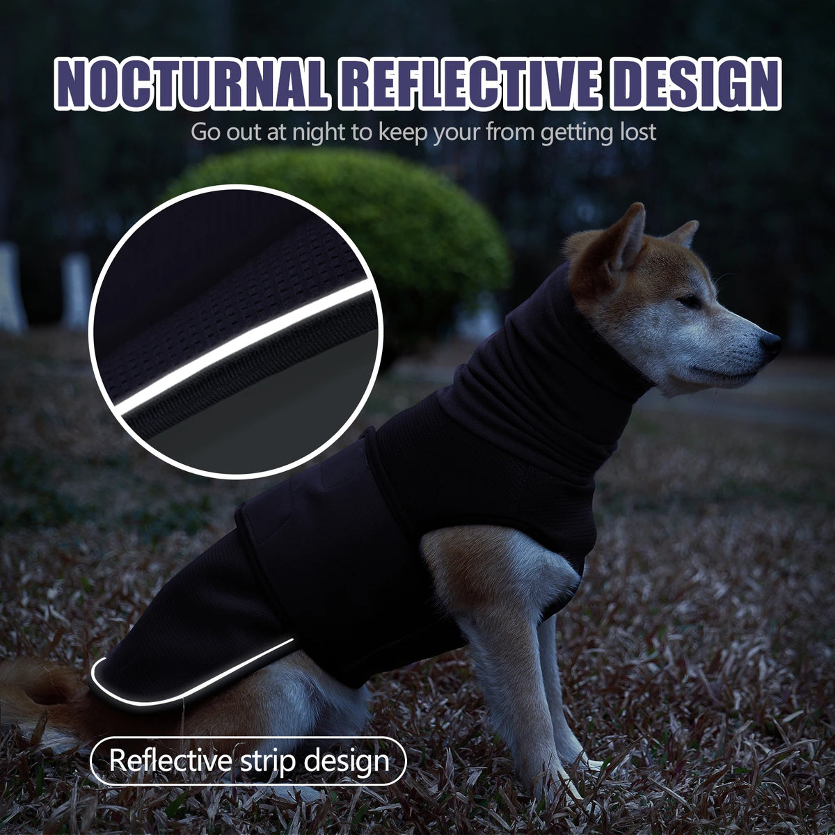 Un chien portant un gilet noir avec des bandes réfléchissantes pour la visibilité nocturne.
