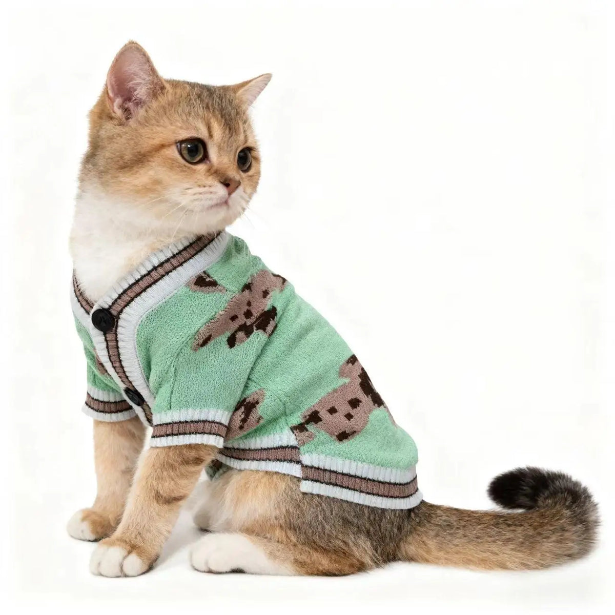 Eine kleine orangegestreifte Katze trägt einen gestrickten Pullover mit braunen und grünen Mustern.