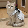 A light cream cat wearing a white dress with black polka dots and a black bow, sitting on a wooden floor.