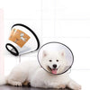Un chien blanc est allongé à côté d'une manchette transparente conçue pour la protection des chiens et des chats.